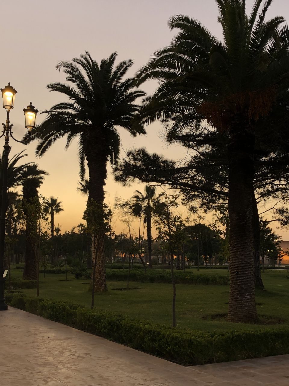 parc hassan II Rabat (1)