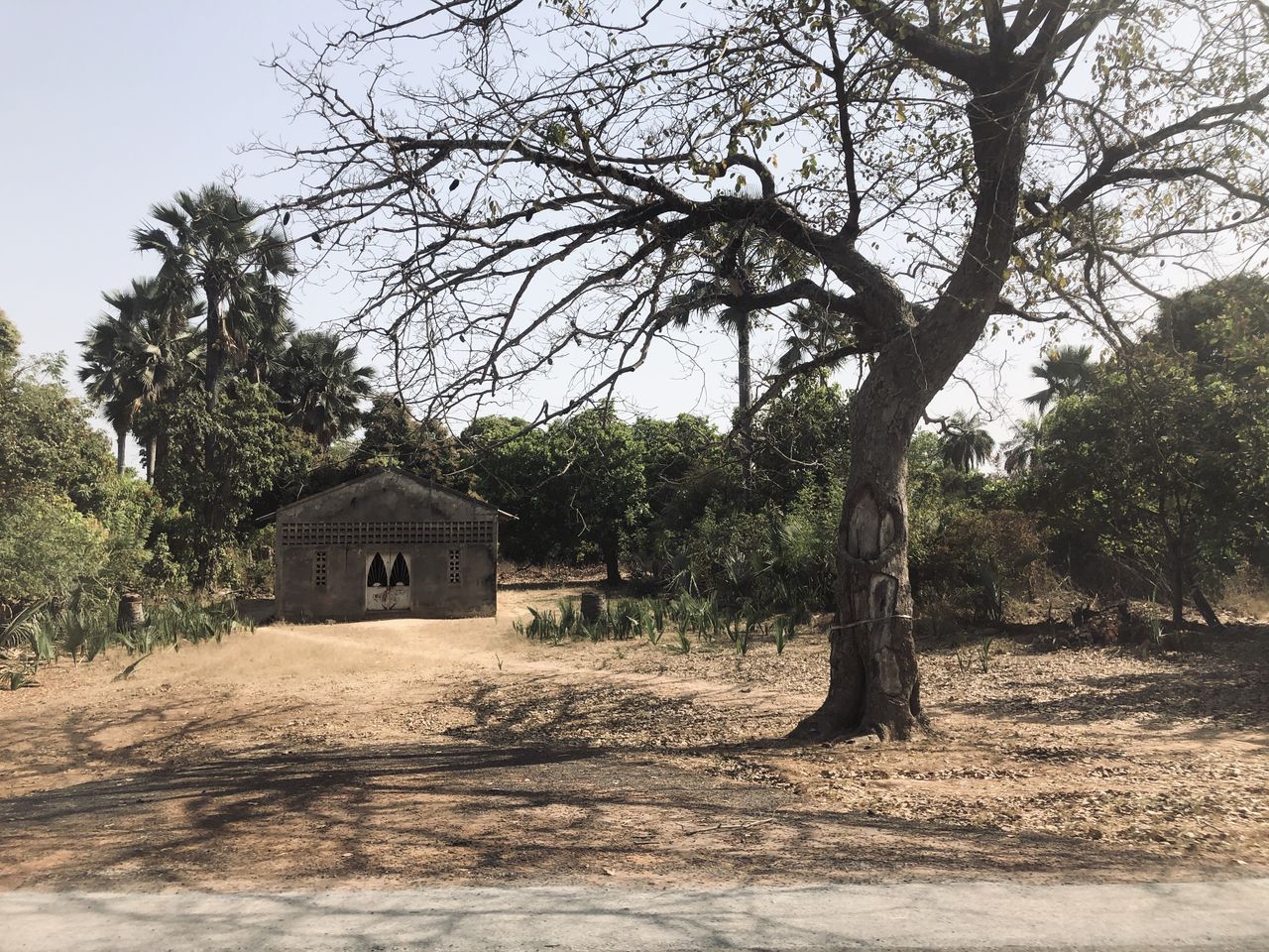 Itinéraire de 2 semaines au Sénégal - nos endroits favoris à ne pas manquer