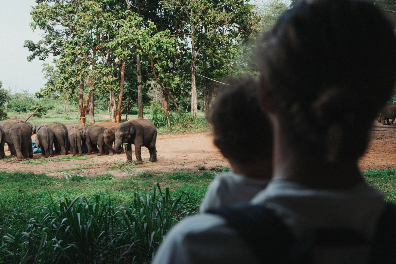 Elephant Transit Home - Lilytoutsourire - Sri Lanka