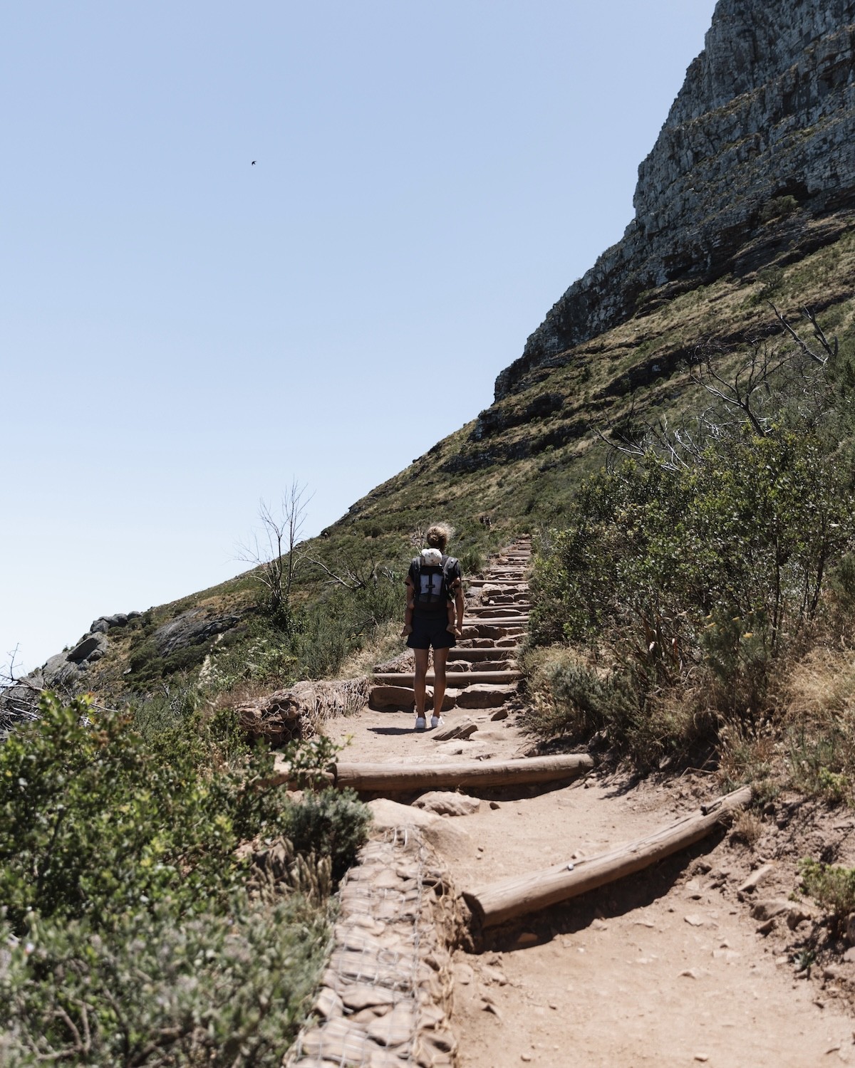 Atteindre le sommet du Lion's Head - Cape Town - Lilytoutsourire