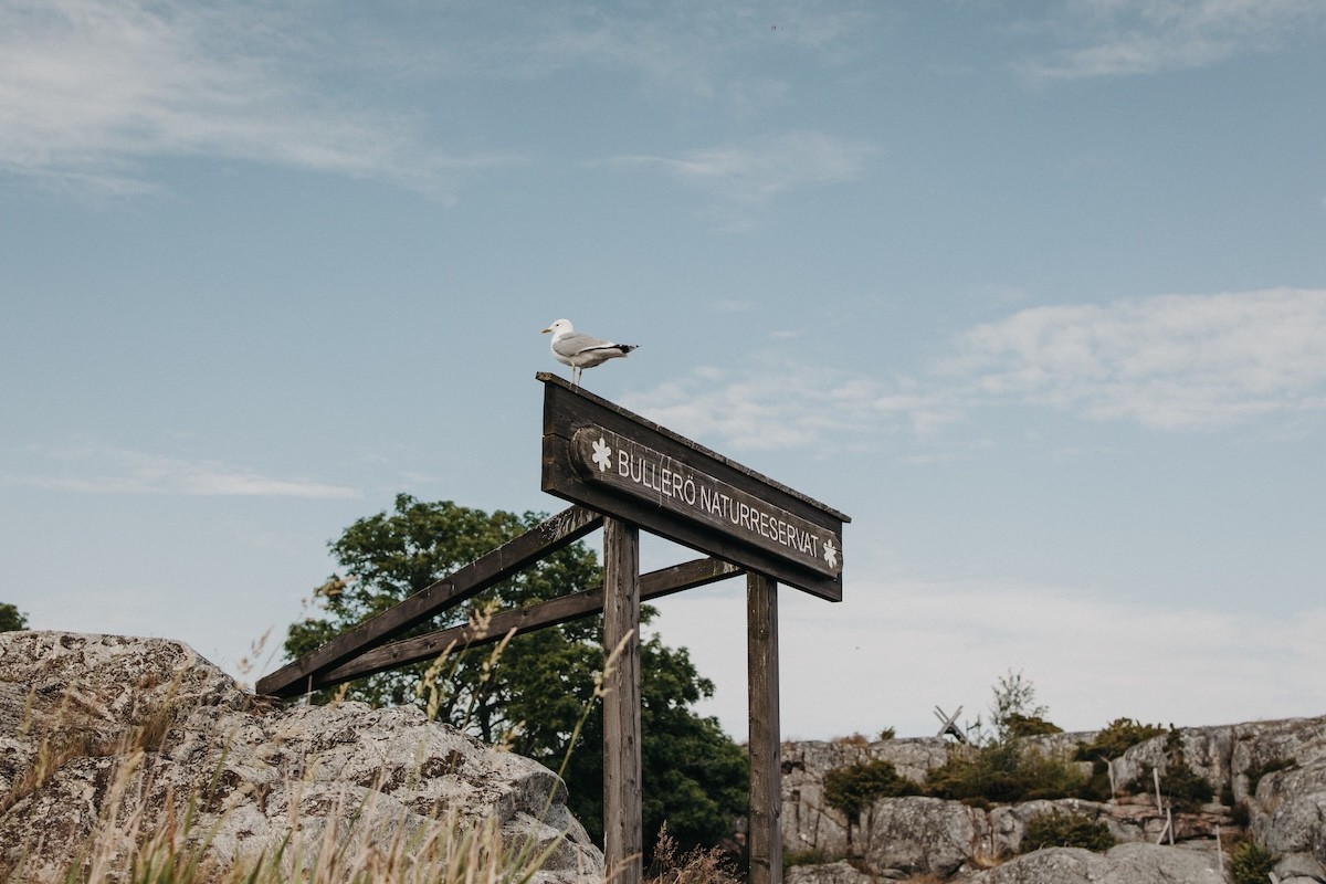 Bullerö - Lilytoutsourire