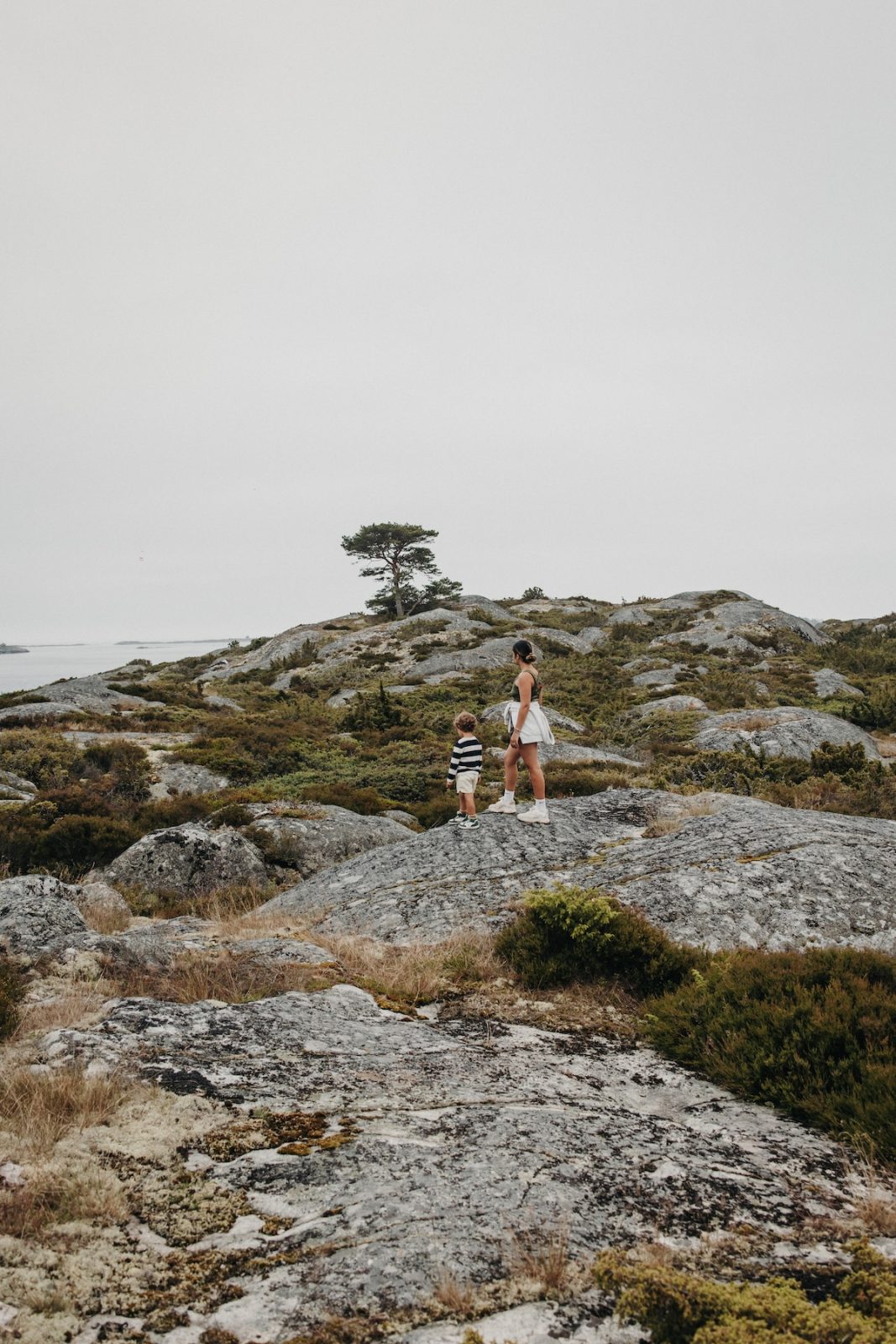 Bullerö - Lilytoutsourire