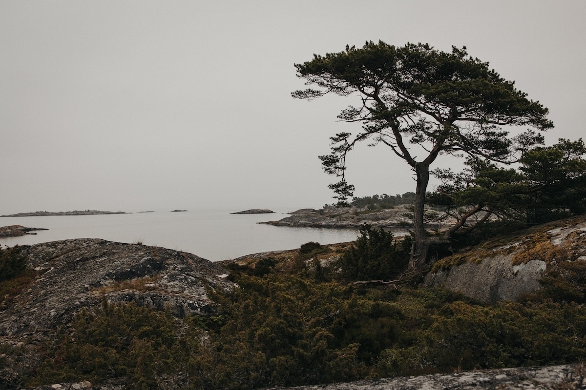 Bullerö - Stockholm en voilier- Lilytoutsourire