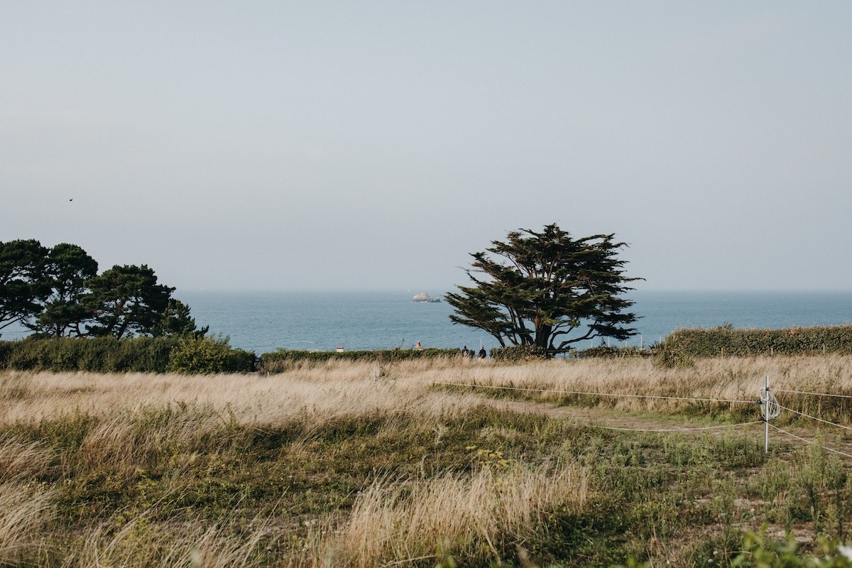 Louer un vélo - Veloc Ouest - Lilytoutsourire
