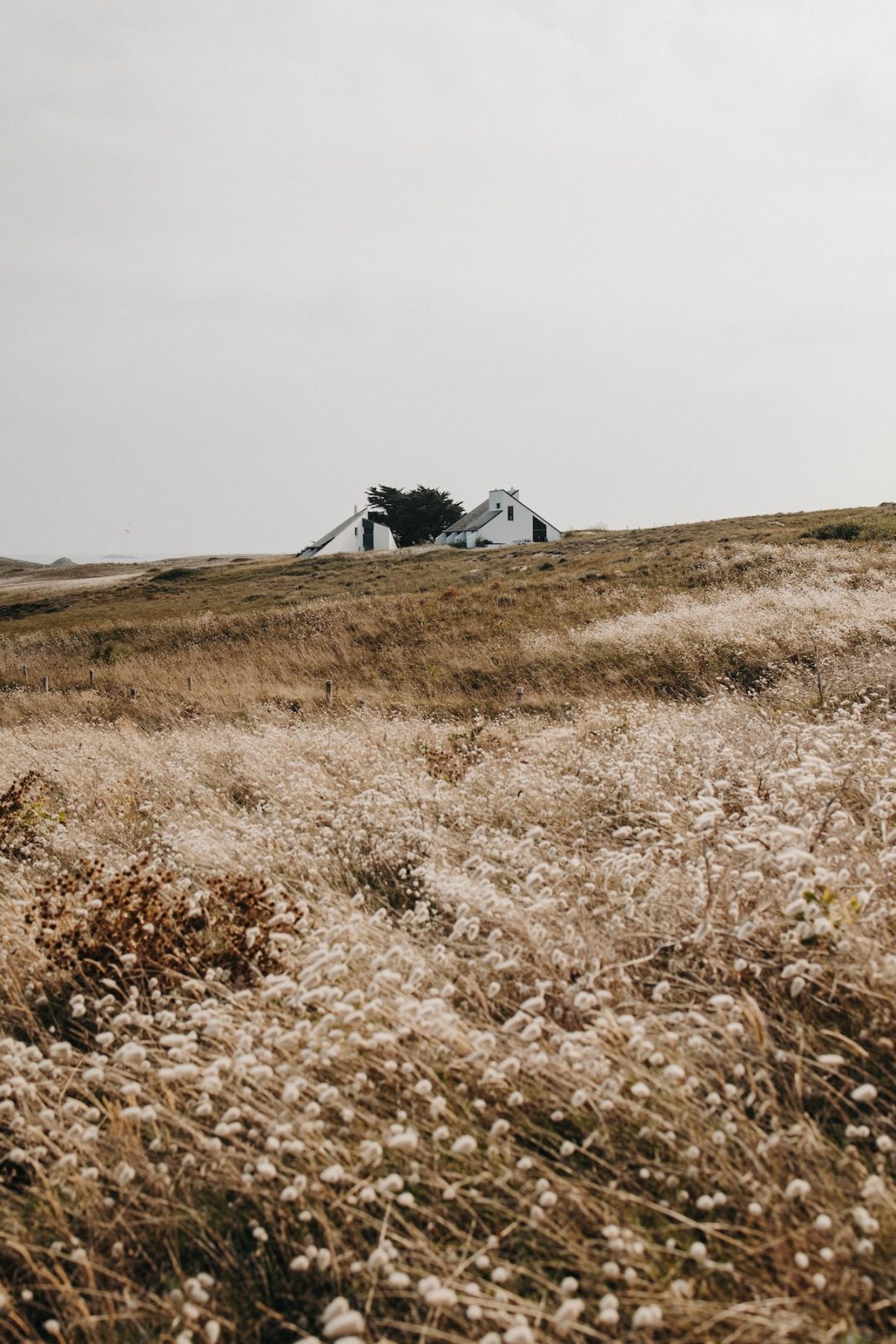 Que faire à l'île d'Houat x LIlytoutsourire